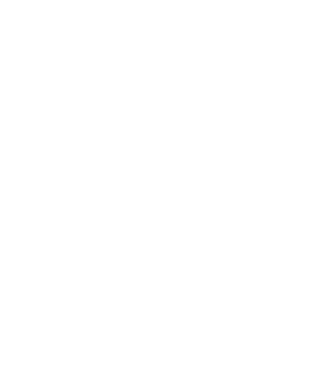 pdf icon